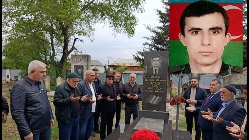 New best parada wave