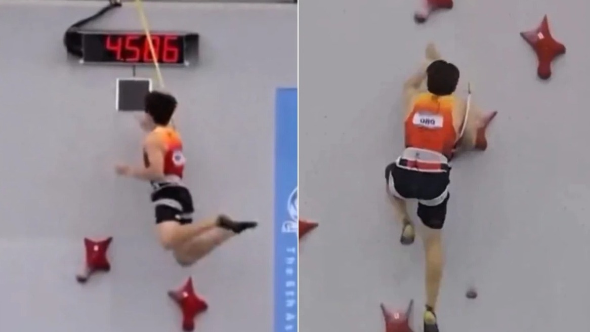 New best parada wave